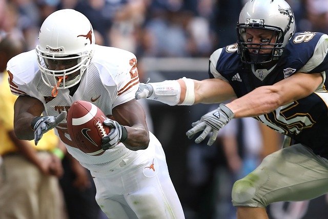 利来巩固自 利来巩固自