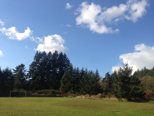 体现