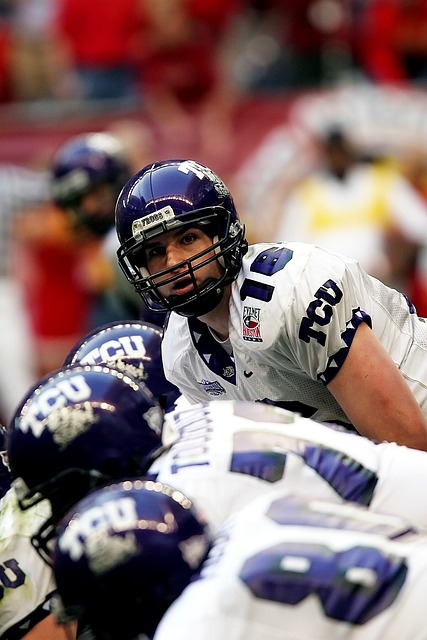 中扎根的种 中扎根的种