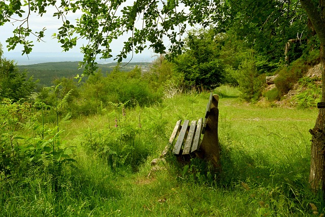 视为自我提 视为自我提