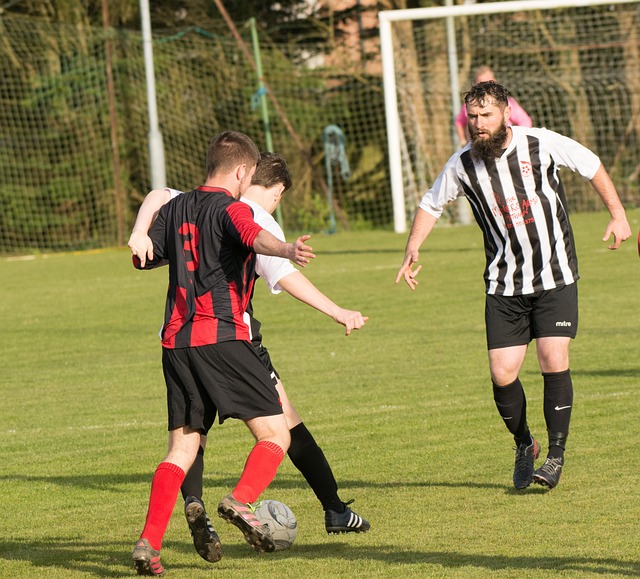 竞技与表演 竞技与表演