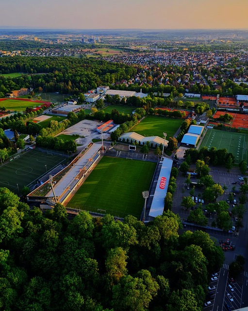 在现代社会 在现代社会