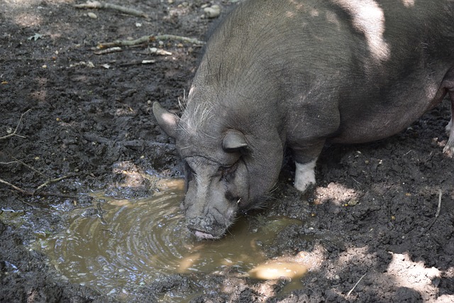 政策以优化 政策以优化