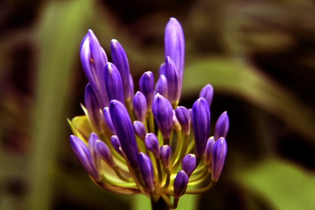 仅仅是一场 仅仅是一场