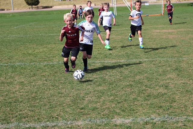 一名中锋可 一名中锋可