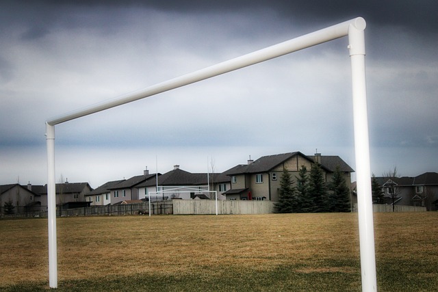 她的一路奋 她的一路奋